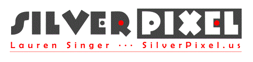 Silver Pixel Logo